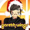 gareth-wings