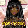 chat-chaton1