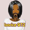borice-972