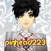 pinhead223