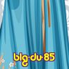 blg-du-85