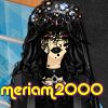 meriam2000