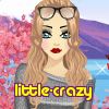 little-crazy