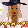 montage-cool04