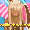 vaniile-chocolaat