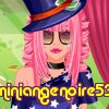 miniangenoire53