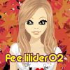 fee-lilider02