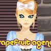 grapefruit-agency