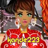 kande223