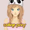 colline-prins