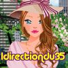 1directiondu35