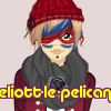 eliott-le-pelican