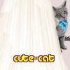 cute--cat