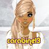 carabine13