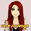 rose-sauvage