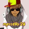 meccelib-29