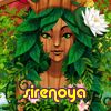 sirenoya