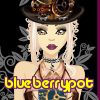 blueberrypot