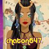 chaton647