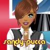 sandy--pucca