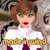 made-in-wind