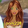 pam228