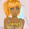 islem13