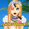 spider-flower