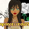 laprincessedu29