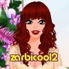 zarbicool2