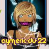 aymeric-du-22