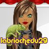 labriochedu29